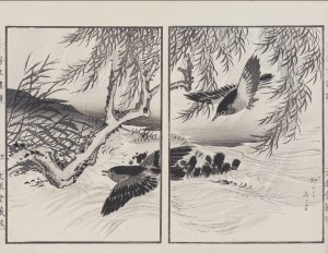 Kikuchi Hobun (1862-1918), Wierzba i ptaki, Kioto, 1890