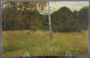 Antoni PIOTROWSKI (1853-1924), 