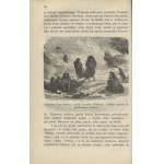 MÜLLER, Karl - The plant world: a work dedicated to nature lovers. 1867