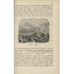 MÜLLER, Karl - The plant world: a work dedicated to nature lovers. 1867