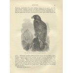 [ORNITOLOGY] Jones, Thomas Rymer. The natural history of birds. 1872