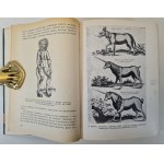 WENDT Herbert - IN THE FOLLOWING OF NOE [Golden Series of Popular Science Literature] Edition I ILLUSTRATIONS