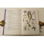 Aichele D., Golte-Bechtle M. - JAKI TO KWIAT? Ilustracje