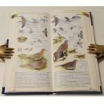 HAYMAN Peter, HUME Rob - ROZPOZNAWANIE PTAKÓW [atlas kieszonkowy] Wydanie I