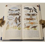 HAYMAN Peter, HUME Rob - ROZPOZNAWANIE PTAKÓW [atlas kieszonkowy] Wydanie I