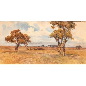 FILIPPO ANIVITTI (Roma 1876-1955), Countryside landscape