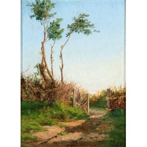 PIETRO BARUCCI (Roma 1845-1917), Country road