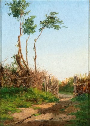 PIETRO BARUCCI (Roma 1845-1917), Country road