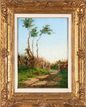PIETRO BARUCCI (Roma 1845-1917), Country road
