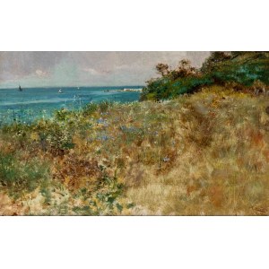 CESARE TIRATELLI(Roma 1964-1933), Landscape with sea view,