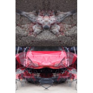MAURO CUPPONE (Mantova 1960), Rorschach (Crash) Test #1ac. Diptych, 2013