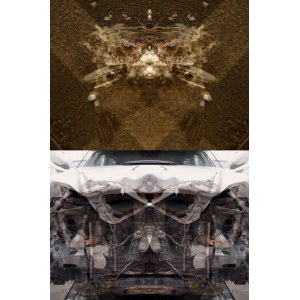 MAURO CUPPONE (Mantova 1960), Rorschach (Crash) Test #2ac, 2013