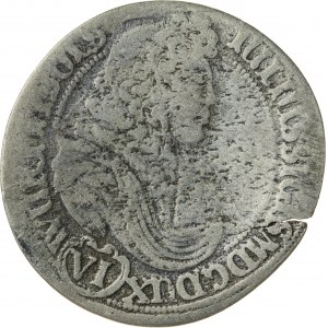 6 krajcarów, 1678, Juliusz Zygmunt 1664-1683, Bierutów, bardzo rzadka moneta