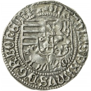 grosz, Maciej I Korwin 1469- 1490, Księstwo Wrocławskie
