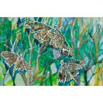 Hanna Dzieciniak (b. 1960), Moths, 2020