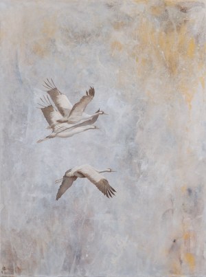 Joanna Półkośnik (ur. 1981), 
