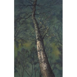 Łukasz Jacek (ur. 1978), Evernight 8, 2021