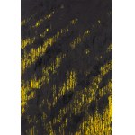 Leon Tarasewicz (ur. 1957, Waliły na Podlasiu), Bez tytułu - tetraptyk, 1991
