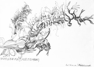Małgorzata ADAMCZAK (ur. 1969), Dry bottlebrush, 2022