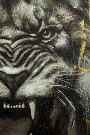 Waldemar Zwoliński, Anger XL