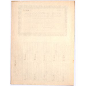 Garbarnia Parowa W. SAWICKI i S-ka Tow. Akc. W Opalenicy, Em.3, 10000 marek 1924 - RZADKA