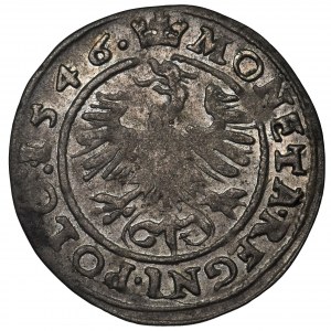 Zygmunt I Stary, Grosz Kraków 1546 ST - ILUSTROWANY