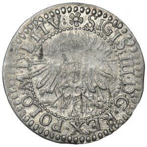 Zygmunt III Waza, Grosz Wilno 1610 - ILUSTROWANY