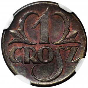 1 grosz 1923 - NGC MS66 BN