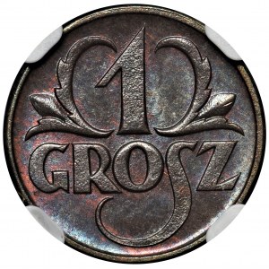 1 grosz 1927 - NGC MS66 BN