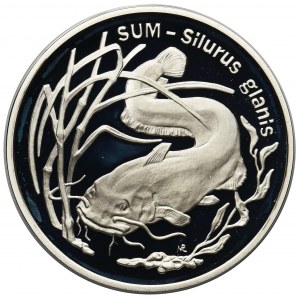 Sum, 20 złotych 1995