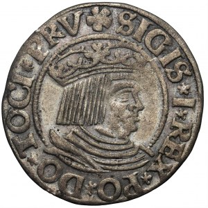 Zygmunt I Stary, Grosz Gdańsk 1532 - PRV