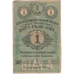 Biała Podlaska, 1 złoty 1865 - RZADKIE