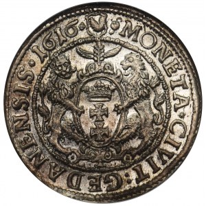 Zygmunt III Waza, Ort Gdańsk 1616 - NGC MS62 - kołnierz