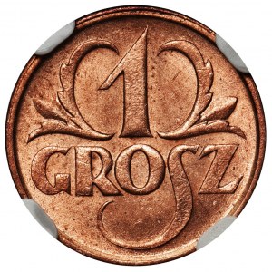 1 grosz 1925 - NGC MS65 RD 