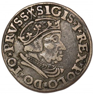 Zygmunt I Stary, Trojak Gdańsk 1537