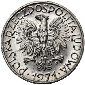Rybak, 5 złotych 1971 - rzadszy rocznik