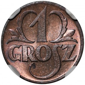 1 grosz 1923 - NGC MS65 RB