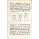 Ernst Götzinger: Reallexicon der Deutschen Altertümer, wydanie 2 1885