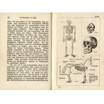 Das Ausstopfen und Skelettisieren von Säugetieren und Vögeln, 1886 poradnik preparatora