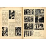 Echa Leśne. R.11 (1934). Nr 11 Puszcza Białowieska, rubryka: Echa Łowieckie