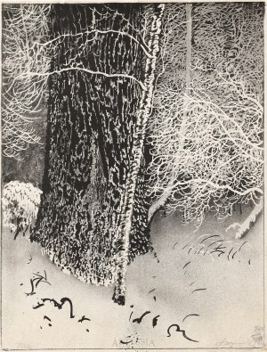 Leon Wyczółkowski (1852 - 1936), Sędzielina, 1924
