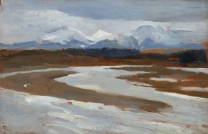 Bronisława Rychter-Janowska (1868-1953), Pochmurny dzień z widokiem na Giewont