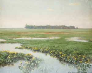 Józef Rapacki (1871-1929), Wiosenna łąka, 1927