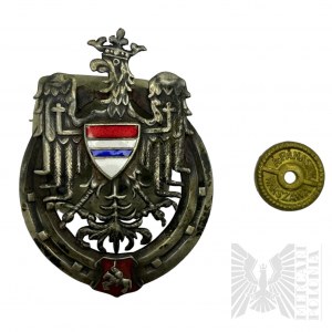 Odznaka 10 Pułk Ułanów Litewskich - Kopia