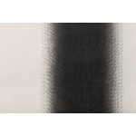 Wojciech Fangor (1922 Warszawa - 2015 Warszawa), Black 4, 1959