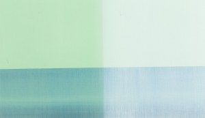 Anna Podlewska-Polit (ur. 1971), Bez tytułu, 2019