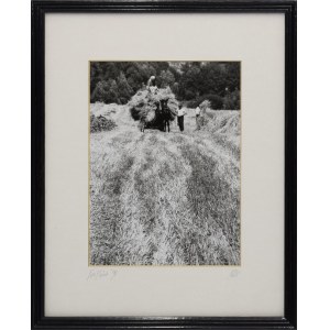 Barbara CHANDLER, Obrazy z Polski, 1991