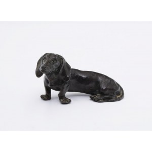 Dachshund