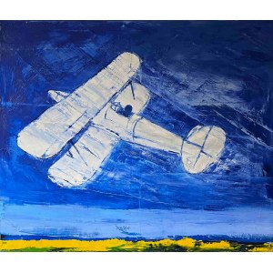 Jacek Lydzba, Airplane (biplane), 2005