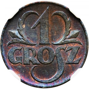 1 grosz 1923 - NGC MS67 BN